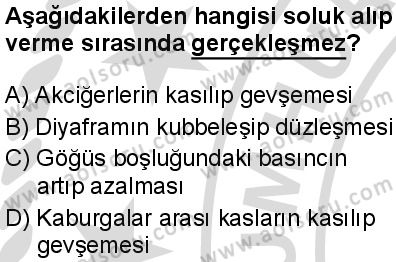 Seçmeli Biyoloji 2 Dersi 2025-2026 yılı 2. Dönem sınavı 3. Soru