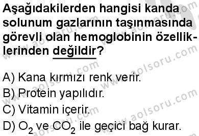 Seçmeli Biyoloji 2 Dersi 2025-2026 yılı 2. Dönem sınavı 5. Soru