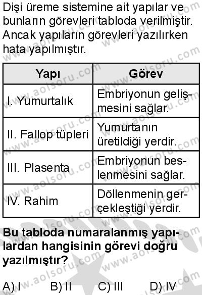 Seçmeli Biyoloji 2 Dersi 2025-2026 yılı 2. Dönem sınavı 6. Soru