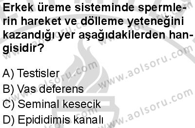 Seçmeli Biyoloji 2 Dersi 2025-2026 yılı 2. Dönem sınavı 7. Soru