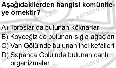 Seçmeli Biyoloji 2 Dersi 2025-2026 yılı 2. Dönem sınavı 8. Soru