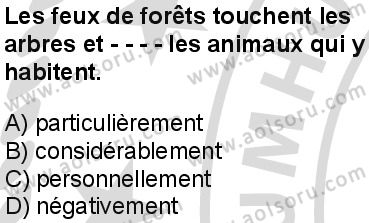 Fransızca 8 Dersi 2025-2026 yılı 2. Dönem sınavı 2. Soru