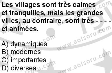 Fransızca 8 Dersi 2025-2026 yılı 2. Dönem sınavı 9. Soru