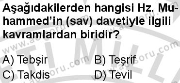 Seçmeli Peygamberimizin Hayatı 5 Dersi 2025-2026 yılı 2. Dönem sınavı 2. Soru