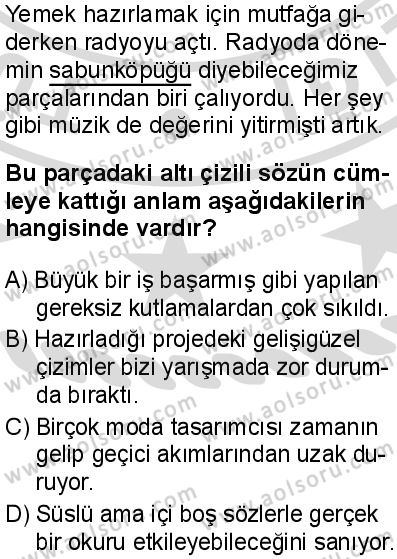 Türk Dili ve Edebiyatı 4 Dersi 2025-2026 yılı 2. Dönem sınavı 1. Soru