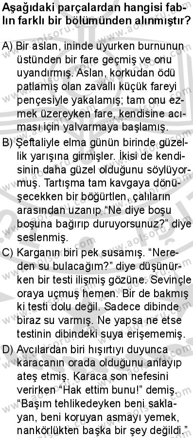 Türk Dili ve Edebiyatı 4 Dersi 2025-2026 yılı 2. Dönem sınavı 8. Soru