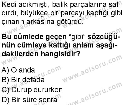 Türk Dili ve Edebiyatı 7 Dersi 2025-2026 yılı 2. Dönem sınavı 1. Soru