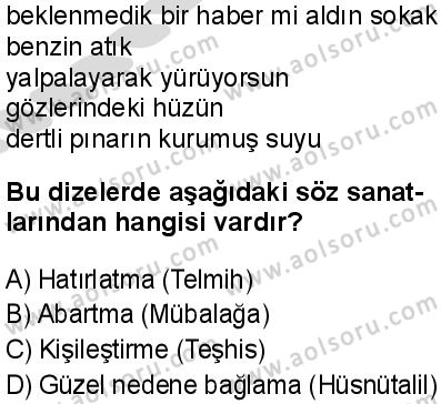 Türk Dili ve Edebiyatı 7 Dersi 2025-2026 yılı 2. Dönem sınavı 8. Soru