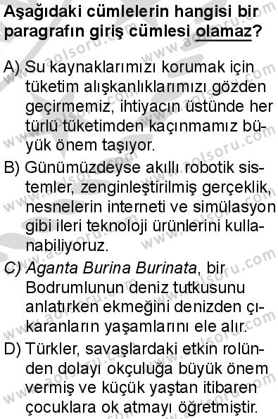 Türk Dili ve Edebiyatı 8 Dersi 2025-2026 yılı 2. Dönem sınavı 5. Soru