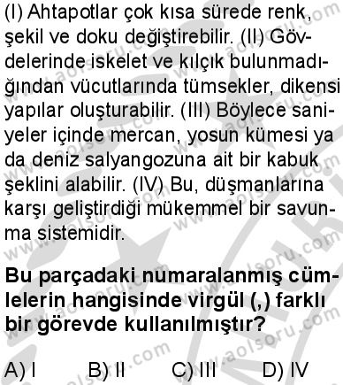 Türk Dili ve Edebiyatı 8 Dersi 2025-2026 yılı 2. Dönem sınavı 7. Soru