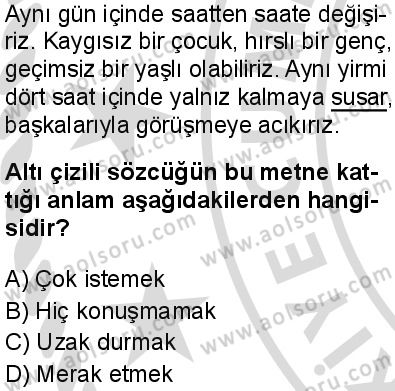 Seçmeli Türk Dili ve Edebiyatı 3 Dersi 2025-2026 yılı 2. Dönem sınavı 1. Soru
