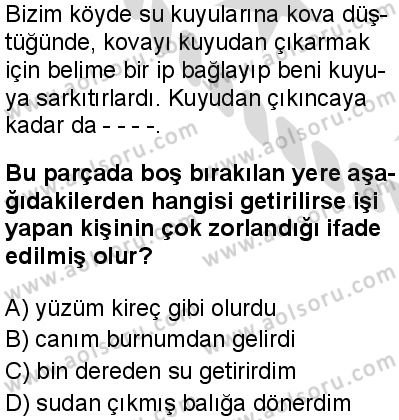Seçmeli Türk Dili ve Edebiyatı 3 Dersi 2025-2026 yılı 2. Dönem sınavı 2. Soru