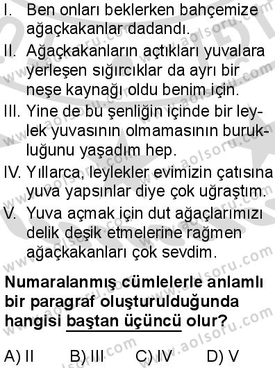 Seçmeli Türk Dili ve Edebiyatı 3 Dersi 2025-2026 yılı 2. Dönem sınavı 5. Soru