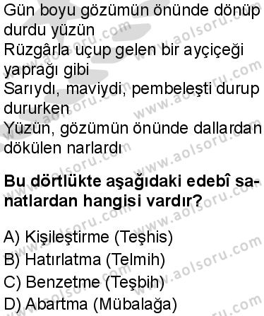 Seçmeli Türk Dili ve Edebiyatı 3 Dersi 2025-2026 yılı 2. Dönem sınavı 8. Soru