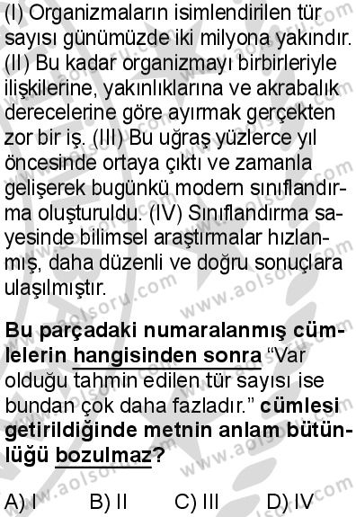 Seçmeli Türk Dili ve Edebiyatı 4 Dersi 2025-2026 yılı 2. Dönem sınavı 5. Soru