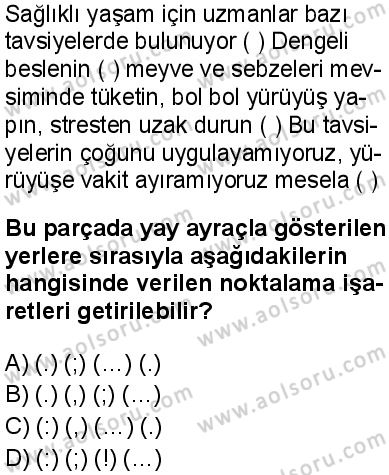 Seçmeli Türk Dili ve Edebiyatı 4 Dersi 2025-2026 yılı 2. Dönem sınavı 7. Soru