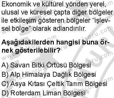 Coğrafya 2 Dersi 2025-2026 yılı 2. Dönem sınavı 10. Soru