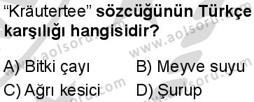 Almanca 2 Dersi 2025-2026 yılı 2. Dönem sınavı 6. Soru