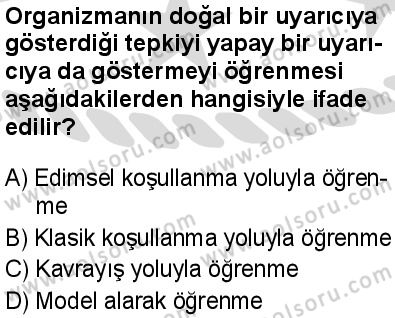 Seçmeli Psikoloji 2 Dersi 2025-2026 yılı 2. Dönem sınavı 1. Soru