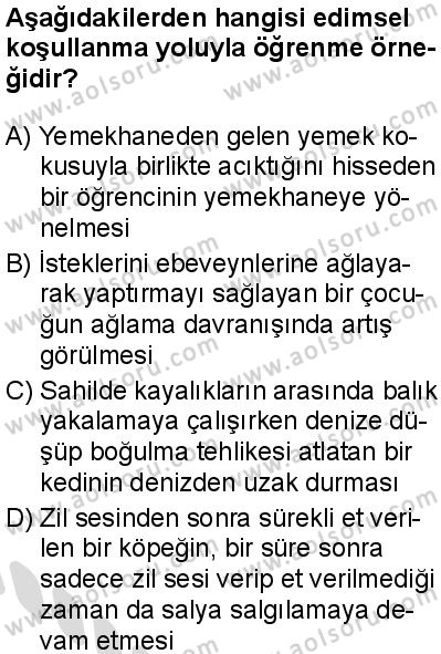 Seçmeli Psikoloji 2 Dersi 2025-2026 yılı 2. Dönem sınavı 2. Soru