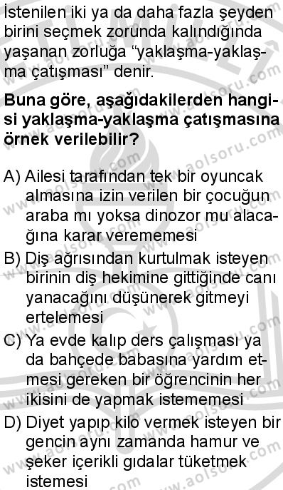 Seçmeli Psikoloji 2 Dersi 2025-2026 yılı 2. Dönem sınavı 10. Soru