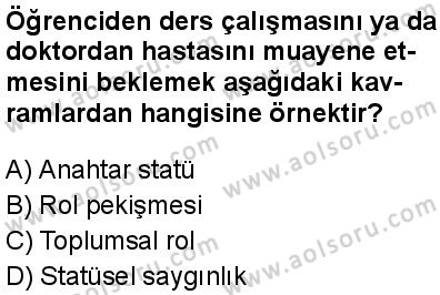 Seçmeli Sosyoloji 1 Dersi 2025-2026 yılı 2. Dönem sınavı 5. Soru