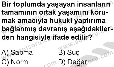 Seçmeli Sosyoloji 1 Dersi 2025-2026 yılı 2. Dönem sınavı 6. Soru