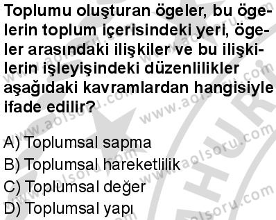 Seçmeli Sosyoloji 1 Dersi 2025-2026 yılı 2. Dönem sınavı 7. Soru