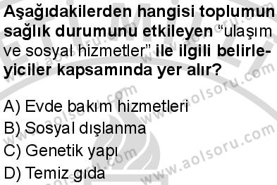 Sağlık Bilgisi ve Trafik Kültürü 1 Dersi 2025-2026 yılı 2. Dönem sınavı 1. Soru