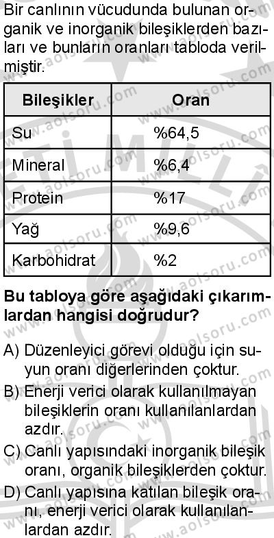 Biyoloji 2 Dersi 2025-2026 yılı 2. Dönem sınavı 1. Soru