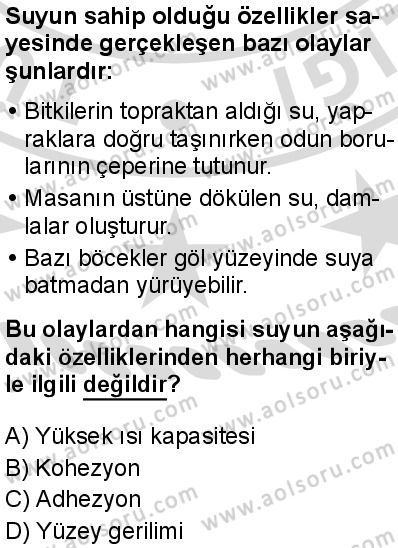 Biyoloji 2 Dersi 2025-2026 yılı 2. Dönem sınavı 2. Soru