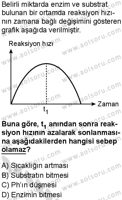 Biyoloji 2 Dersi 2025-2026 yılı 2. Dönem sınavı 3. Soru