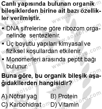 Biyoloji 2 Dersi 2025-2026 yılı 2. Dönem sınavı 4. Soru