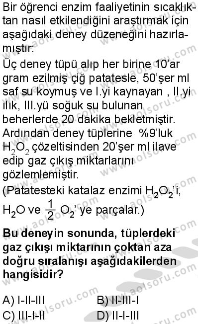 Biyoloji 2 Dersi 2025-2026 yılı 2. Dönem sınavı 6. Soru
