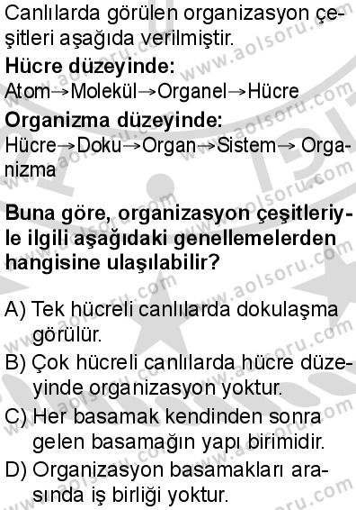 Biyoloji 2 Dersi 2025-2026 yılı 2. Dönem sınavı 10. Soru