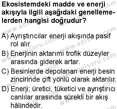 Biyoloji 4 Dersi 2025-2026 yılı 2. Dönem sınavı 4. Soru