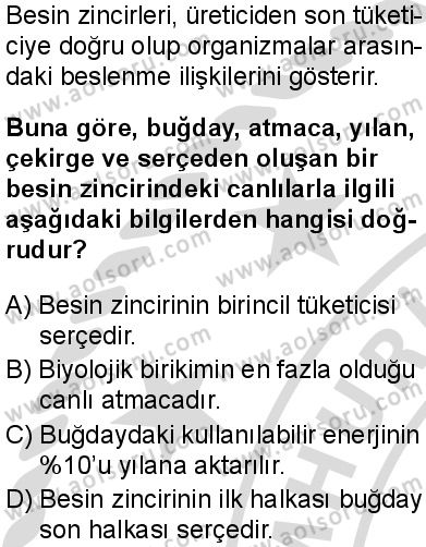 Biyoloji 4 Dersi 2025-2026 yılı 2. Dönem sınavı 5. Soru