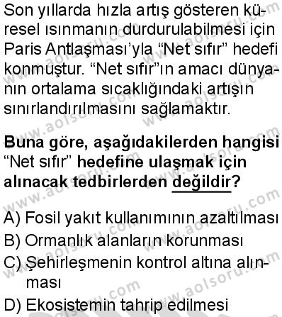 Biyoloji 4 Dersi 2025-2026 yılı 2. Dönem sınavı 7. Soru