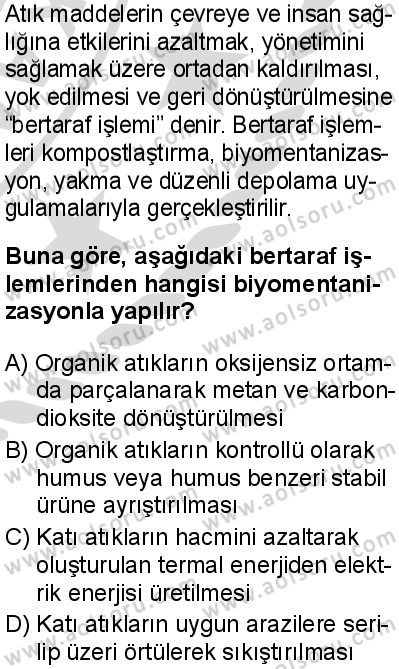 Biyoloji 4 Dersi 2025-2026 yılı 2. Dönem sınavı 10. Soru