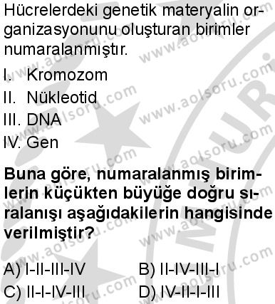 Seçmeli Biyoloji 3 Dersi 2025-2026 yılı 2. Dönem sınavı 2. Soru