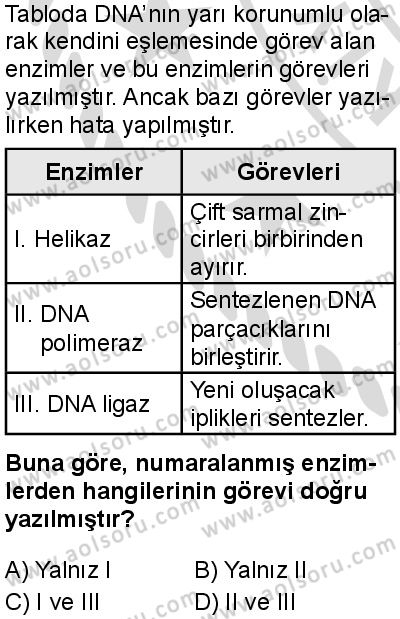 Seçmeli Biyoloji 3 Dersi 2025-2026 yılı 2. Dönem sınavı 3. Soru