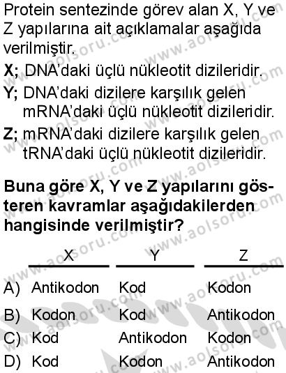 Seçmeli Biyoloji 3 Dersi 2025-2026 yılı 2. Dönem sınavı 4. Soru