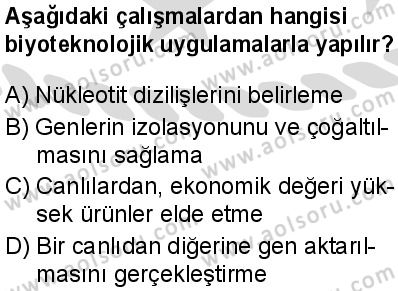 Seçmeli Biyoloji 3 Dersi 2025-2026 yılı 2. Dönem sınavı 6. Soru