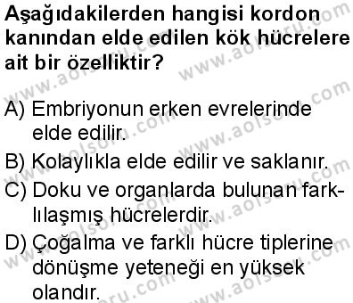 Seçmeli Biyoloji 3 Dersi 2025-2026 yılı 2. Dönem sınavı 7. Soru