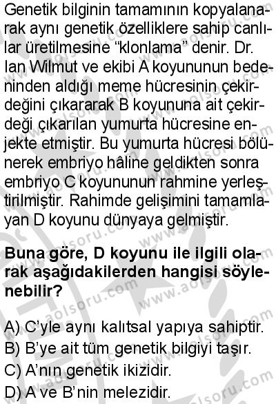 Seçmeli Biyoloji 3 Dersi 2025-2026 yılı 2. Dönem sınavı 8. Soru