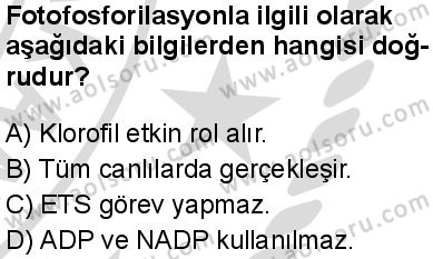 Seçmeli Biyoloji 3 Dersi 2025-2026 yılı 2. Dönem sınavı 9. Soru