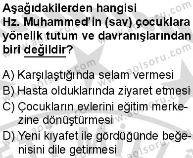 Seçmeli Peygamberimizin Hayatı 6 Dersi 2025-2026 yılı 2. Dönem sınavı 5. Soru