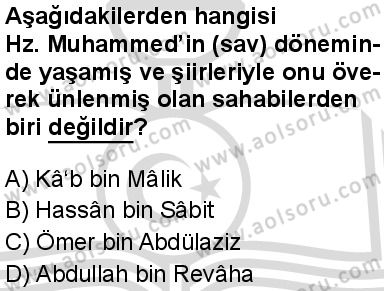 Seçmeli Peygamberimizin Hayatı 8 Dersi 2025-2026 yılı 2. Dönem sınavı 9. Soru