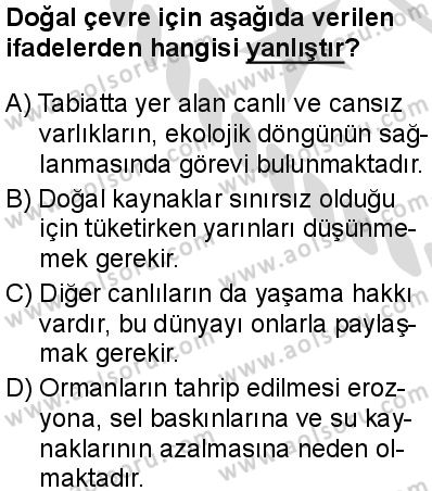 Seçmeli Coğrafya 4 Dersi 2025-2026 yılı 2. Dönem sınavı 9. Soru