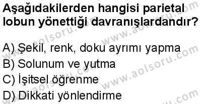 Seçmeli Psikoloji 1 Dersi 2025-2026 yılı 2. Dönem sınavı 5. Soru